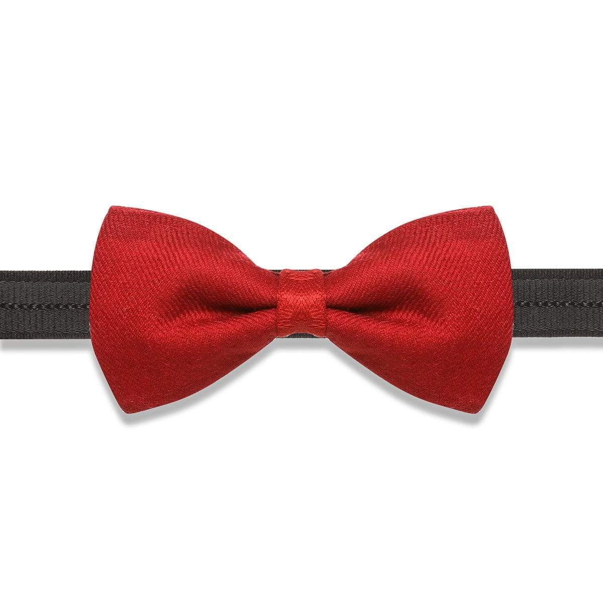 Pashtush India Bow Pashtush Mens Luxury Pre-Tied Bow Tie