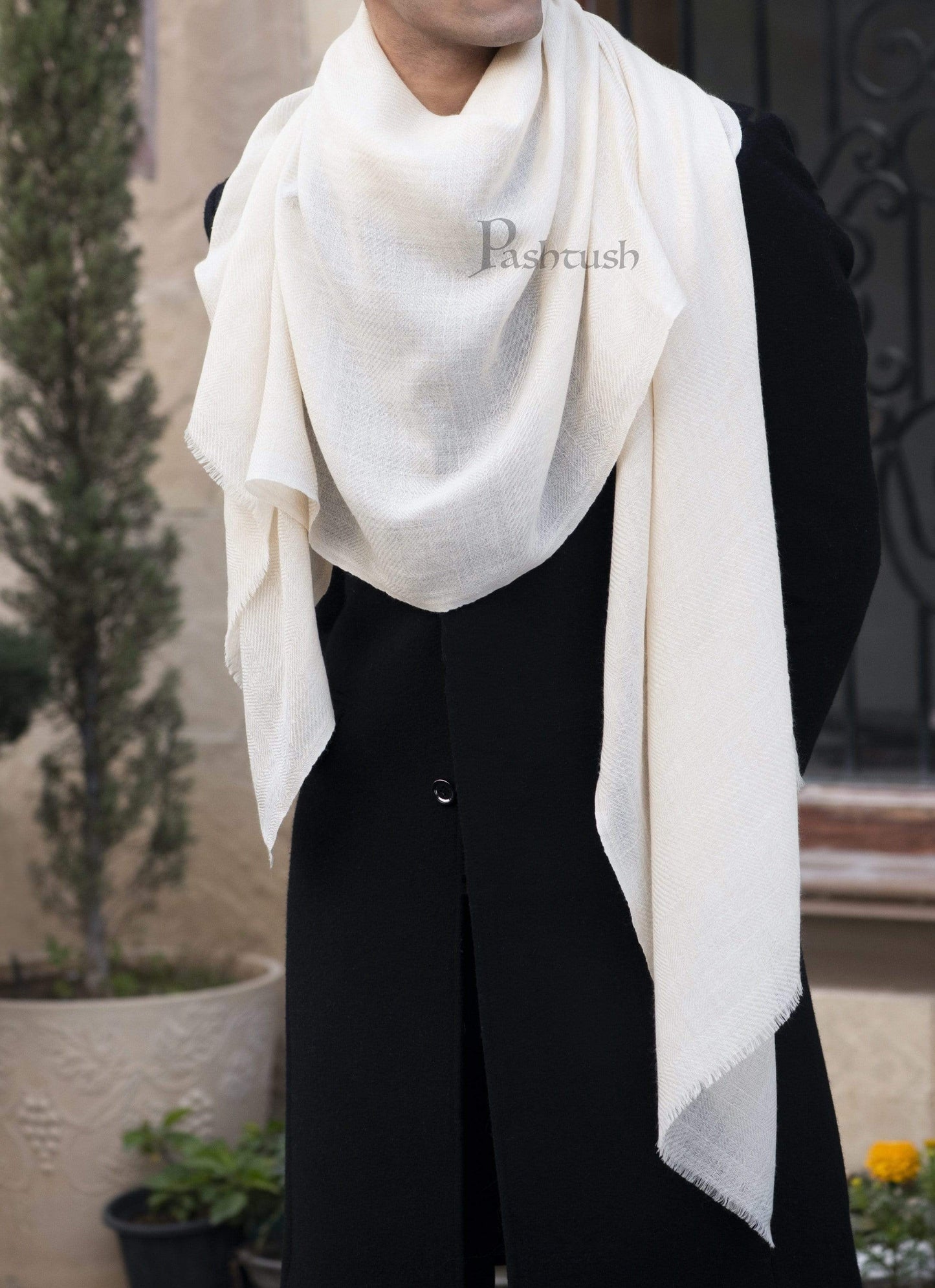 Pashtush India 70x200 Pashtush Mens Softest Cashmere Scarf, Extra Soft, Warm and 100% Pure