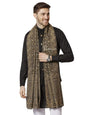 Pashtush India 70x200 Pashtush Mens Ethic Stole, Fine Wool, Soft and Warm, Earthy Hues
