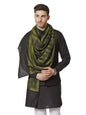 Pashtush India 70x200 Pashtush Mens Fine Wool Ikkat Design, Stole, Emerald Green