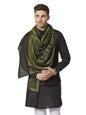 Pashtush India 70x200 Pashtush Mens Fine Wool Ikkat Design, Stole, Emerald Green