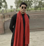 Pashtush India Stole Pashtush Mens Fine Wool Jacquard Muffler (Scarlet)