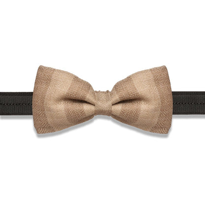 Pashutsh Bow Pashtush Mens Luxury Pre-Tied Bow Tie