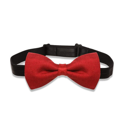 Pashtush India Bow Pashtush Mens Luxury Pre-Tied Bow Tie