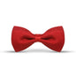 Pashtush India Bow Pashtush Mens Luxury Pre-Tied Bow Tie