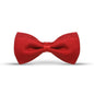 Pashtush India Bow Pashtush Mens Luxury Pre-Tied Bow Tie