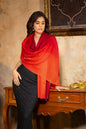 Pashtush India Womens Stoles and Scarves Scarf Pashtush Pure Cashmere Ombre Stole, Premium Extra Soft and Warm