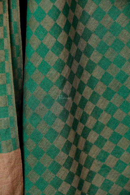 Pashtush India 70x200 Pashtush Women‚Äôs Extra Fine Soft Wool Checkered stole, Green and Taupe