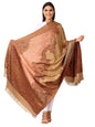 Pashtush India 100x200 Pashtush Women's Kashmiri warm, soft Faux Pashmina Design Beige
