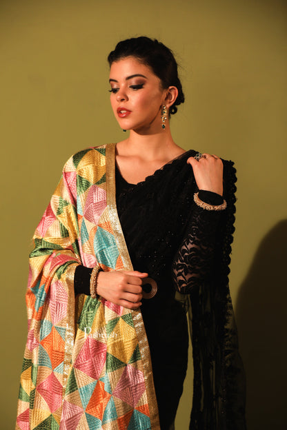 Pashtush India Womens Dupatta Pashtush Womens Chiffon Dupatta With Multicoloured Embroidery, Phulkari