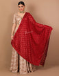 Pashtush Shawl Store Dupatta Pashtush Womens Chiffon Phulkari Dupatta, Scarlet