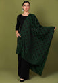 Pashtush India 70x200 Pashtush Womens Fine Wool, Soft and Warm, Checkered stole