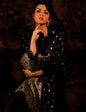 Pashtush Store Shawl Pashtush Womens Kashmiri Embroidery Shawl, Light Weight and Warm, Black and grey